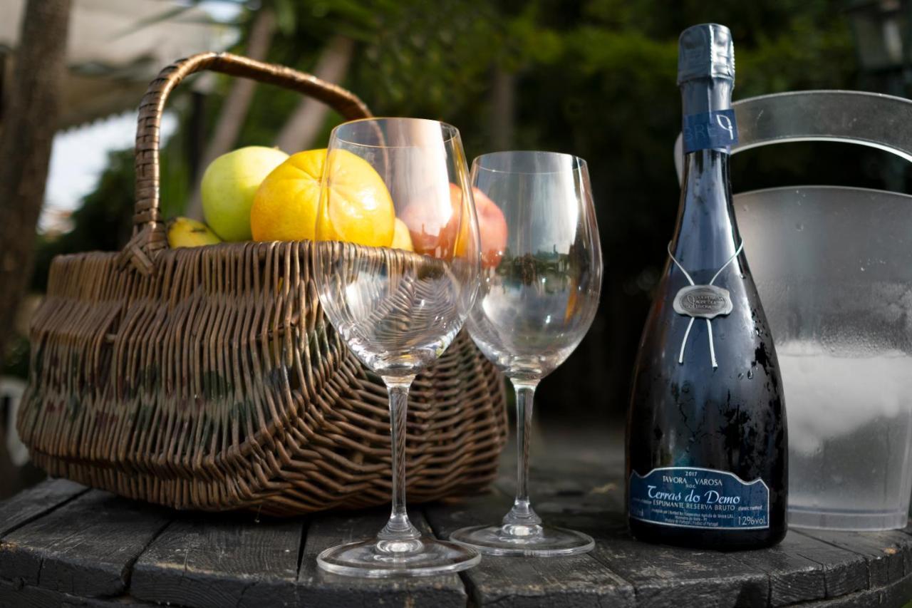 Quinta Do Carvalhal Alojamento, Penafiel Irivo Eksteriør billede