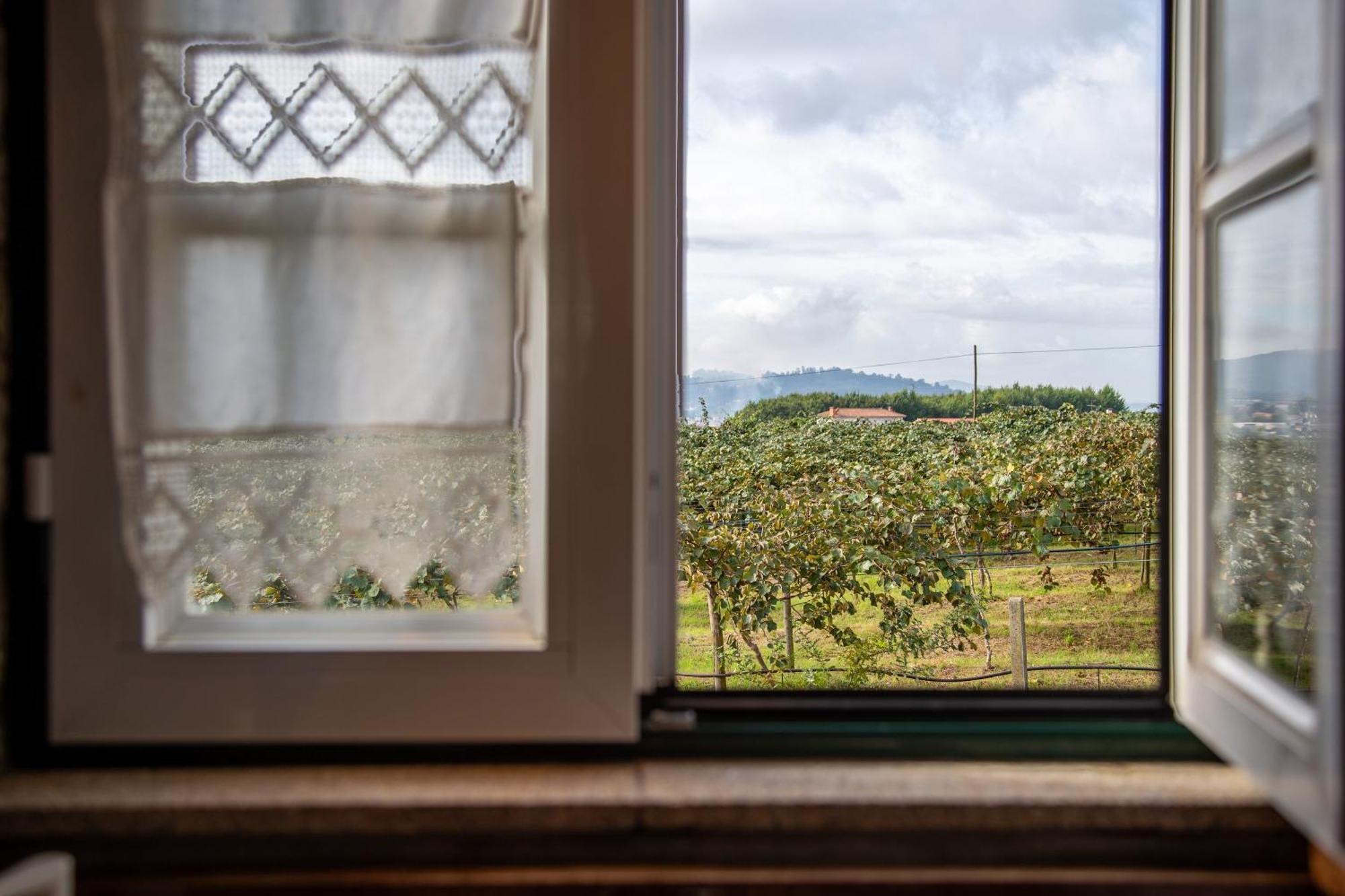 Quinta Do Carvalhal Alojamento, Penafiel Irivo Eksteriør billede