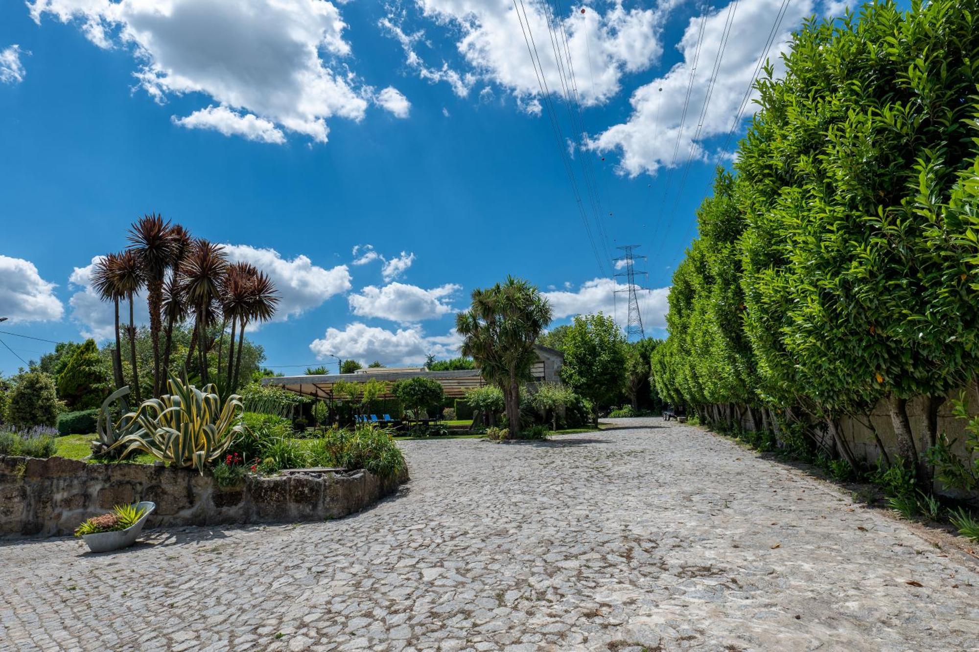 Quinta Do Carvalhal Alojamento, Penafiel Irivo Eksteriør billede